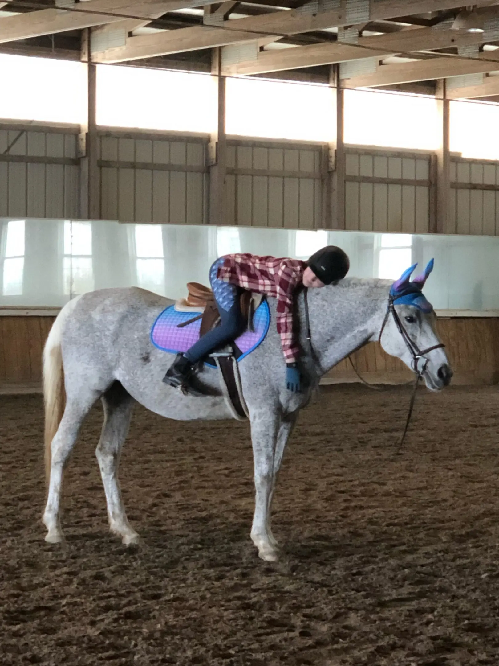 Image20250505095559 A person riding on the back of a horse.